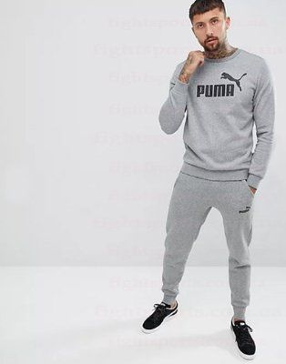 Спортивный костюм мужской Пума крутой для прогулок серый PUMA XXL 1619311291 фото