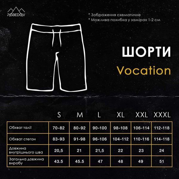 Шорты мужские пляжные Pobedov Vocation Dark Gray Темно серые 2587999559 фото