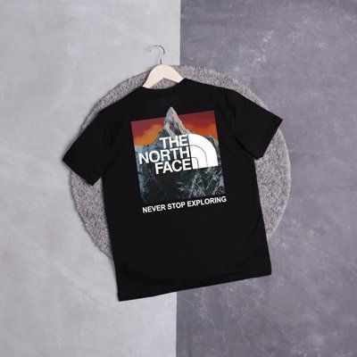 Футболка мужская the north face черная летняя трикотажная тенниска 2612377581 фото