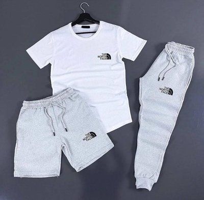 Костюм мужской летний шорты футболка штаны The North Face спортивный комплект зе норд фейс белый-серый M 2610870331 фото
