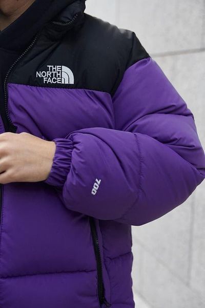 Куртка чоловіча зимова The North Face до - 25*С тепла Фіолетова | Пуховик чоловічий зимовий TNF Преміум якості 2024143338 фото