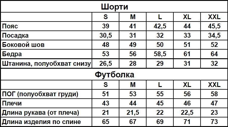Шорти футболка Nike комплект чоловічий літній повсякденний 2606906072 фото