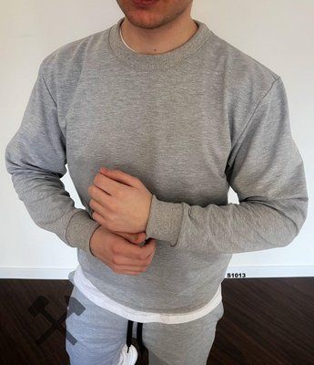 Чоловічий світшот базовий сірий однотонний толстовка кофта бавовняна осінь весна повсякденна 2671190604 фото