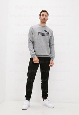 Спортивный костюм мужской Пума молодежный качественный стильный серый PUMA M 1697797350 фото