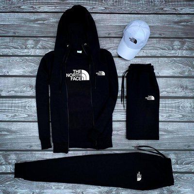 Спортивный мужской костюм The North Face шорты кепка Комплект осень весна 2614942353 фото