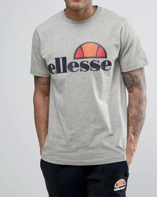 Футболка чоловіча Ellesse сіра бавовняна теніска вільного крою 2603708599 фото