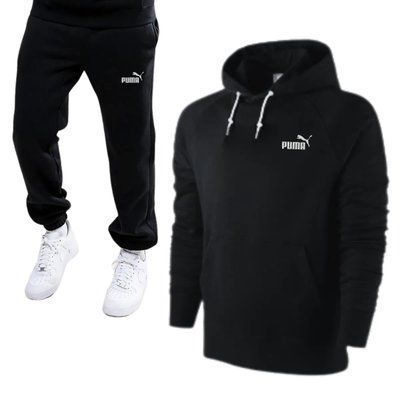 Спортивний костюм Чоловічий Пума теплий Осінній Puma Худі та штани L 2354905268 фото