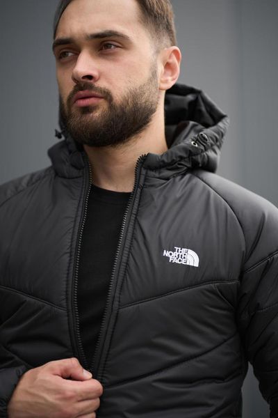 Куртка мужская осенняя весенняя базовая TNF черная непродуваемая 2491372810 фото