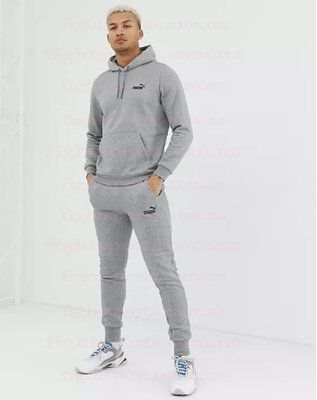 Мужской Спортивный костюм PUMA (ПУМА) Серый S 1619121056 фото