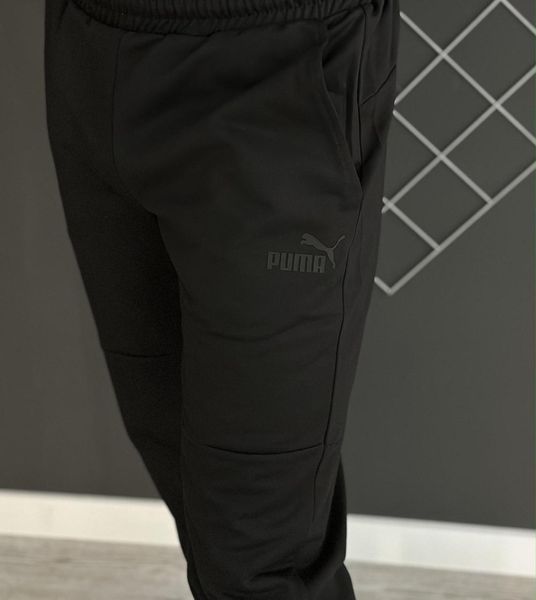 Мужской спортивный костюм Пума Puma весенний осенний Комплект демисезонный 2613043091 фото