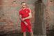 Спортивний Костюм Чоловічий Літній Adidas червоний шорти футболка спортивний комплект 2607387120 фото 10