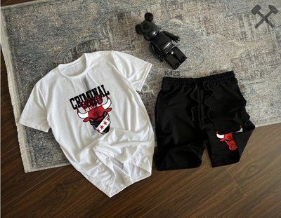 Літній чоловічий спортивний костюм chicago bulls шорти футболка комплект чікаго буллз XL 2607714327 фото