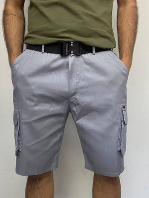 Шорты мужские повседневные Intruder "Indiana" серые M 2592363500 фото